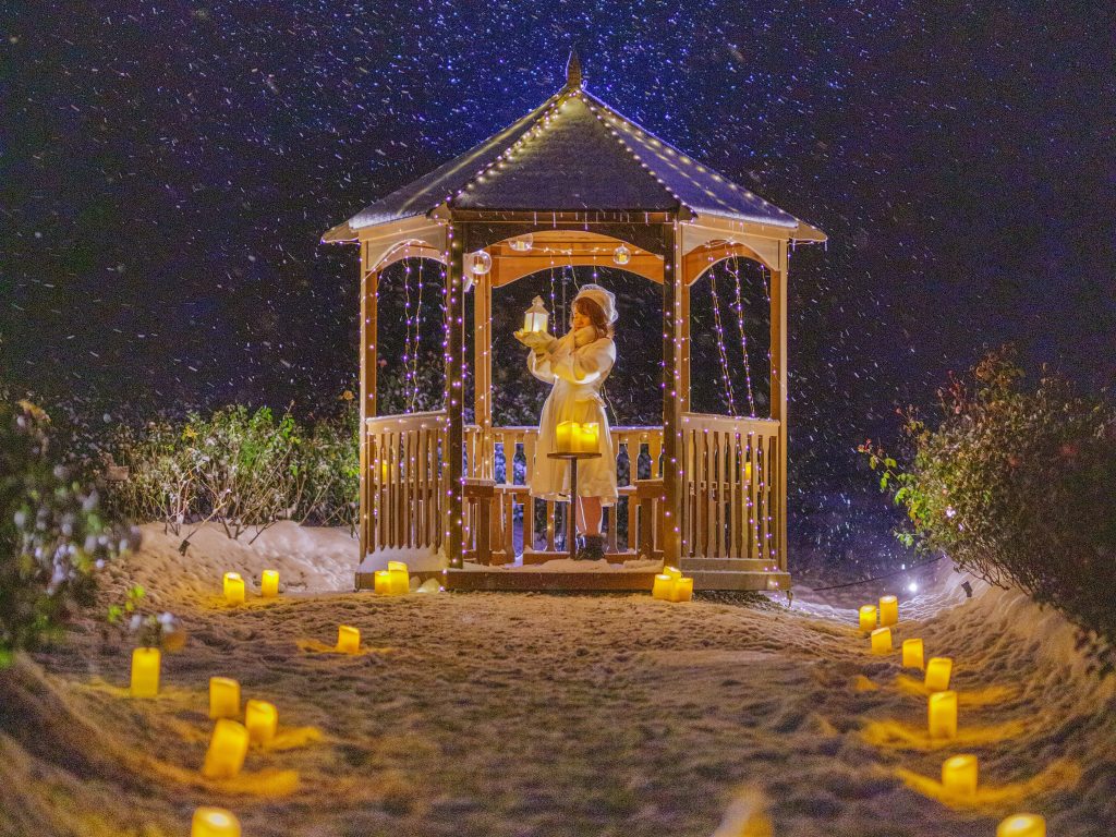 【世羅高原花の森　キャンドルナイト④】